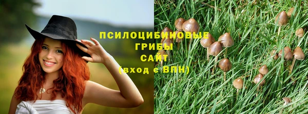 MESCALINE Вяземский
